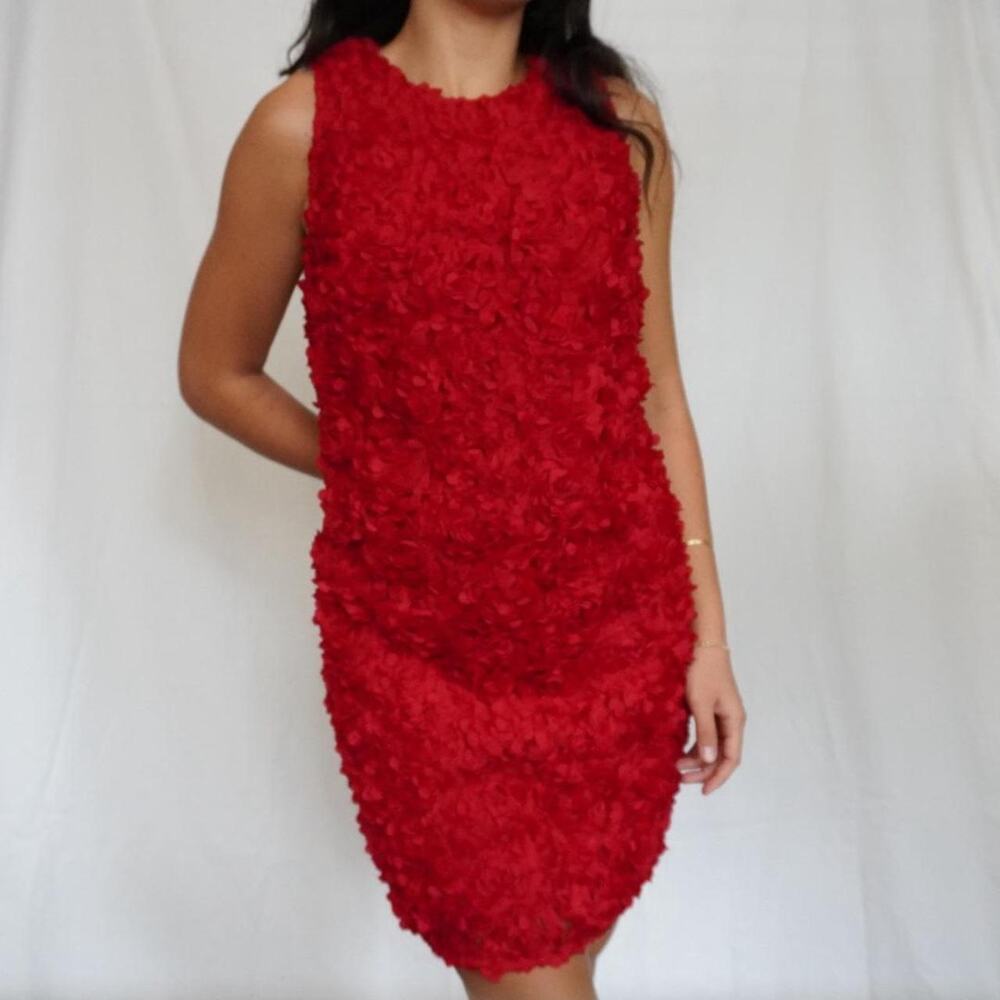 J. Crew Red Ruffle Mini Dress Formal Coctail 3D Floral Applique Textured Size 14